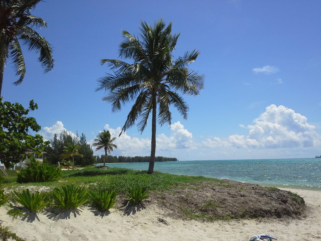 Bahamas beach scene