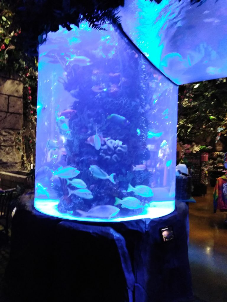 Rainforest Cafe Nashville