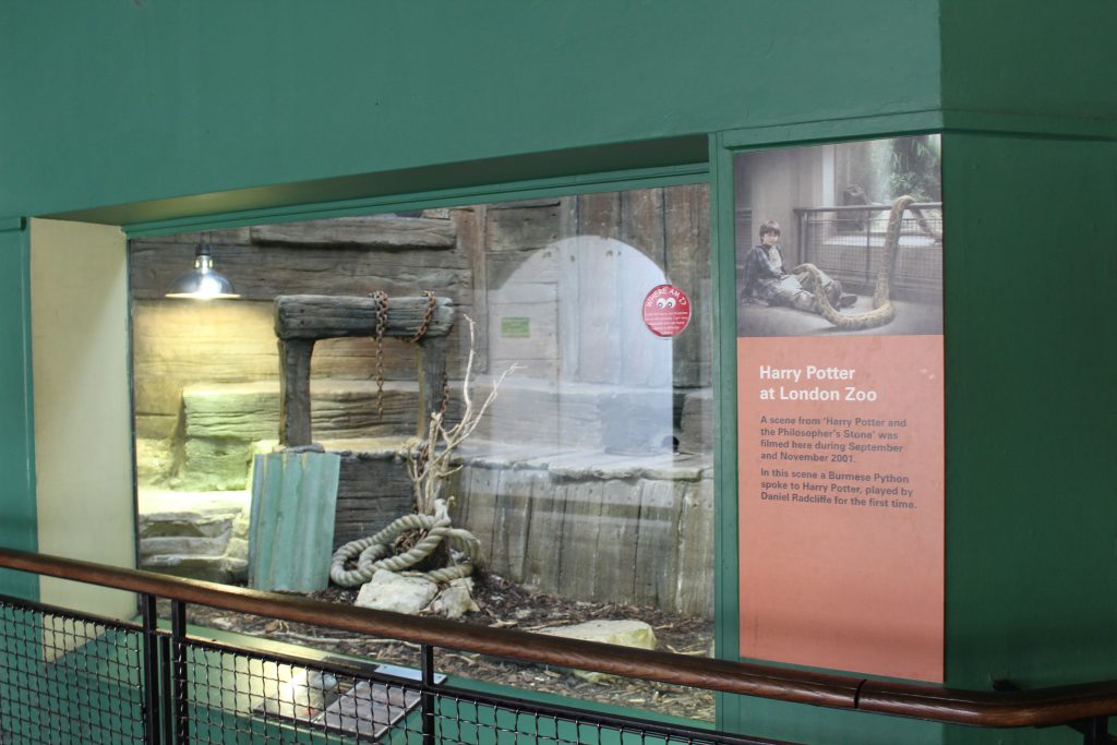 Reptile house at London Zoo where Harry Potter scene was filmed