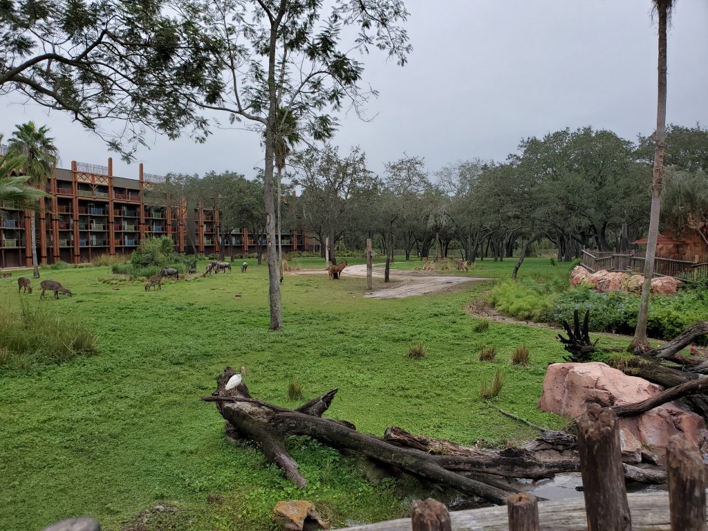 Animal Kingdom Lodge