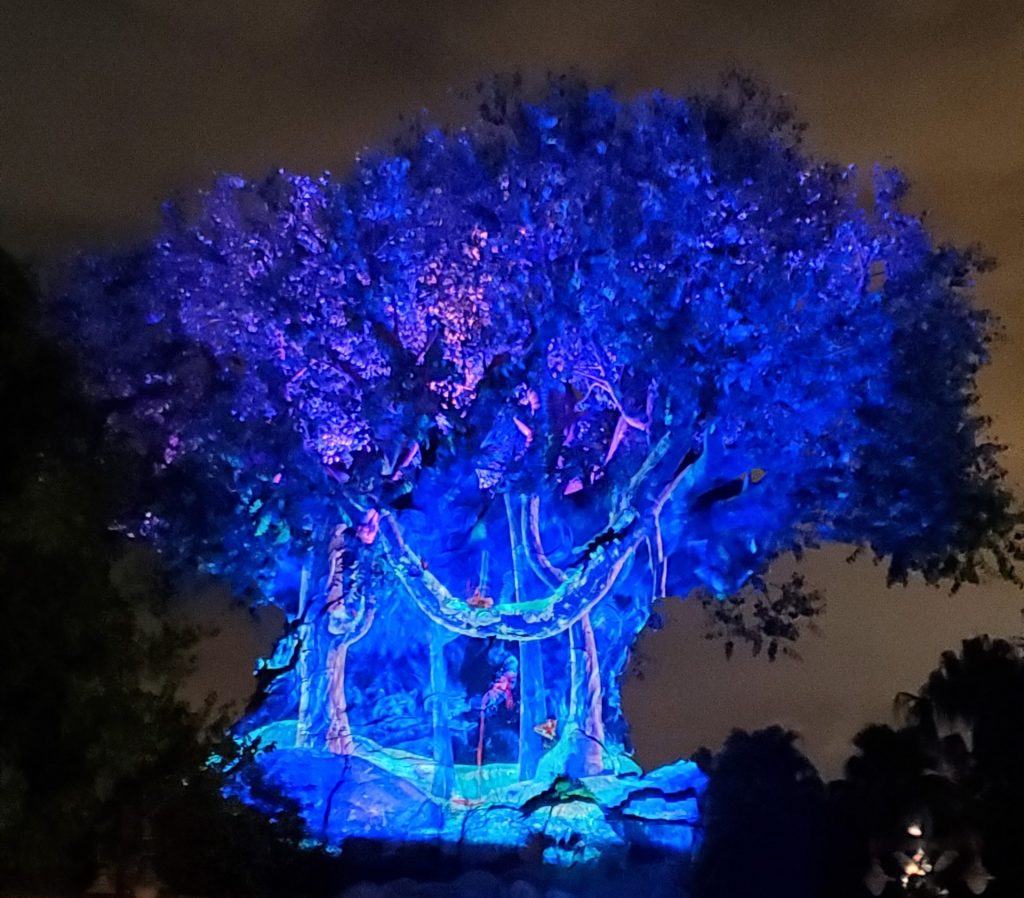 Animal Kingdom Tree of Life at night