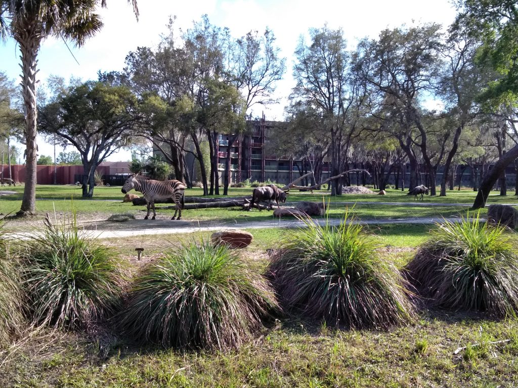 Kidani Village at Animal Kingdom Resort