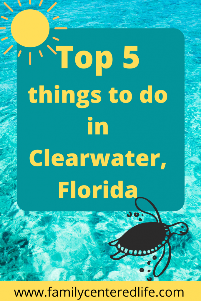 Top 5 things in Clearwater Beach