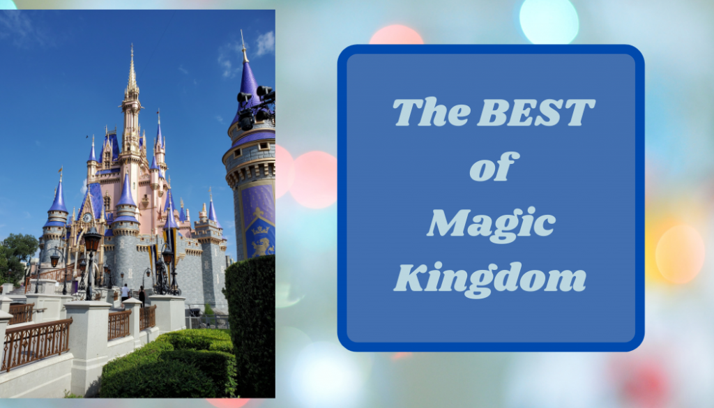Should I go to Magic Kingdom