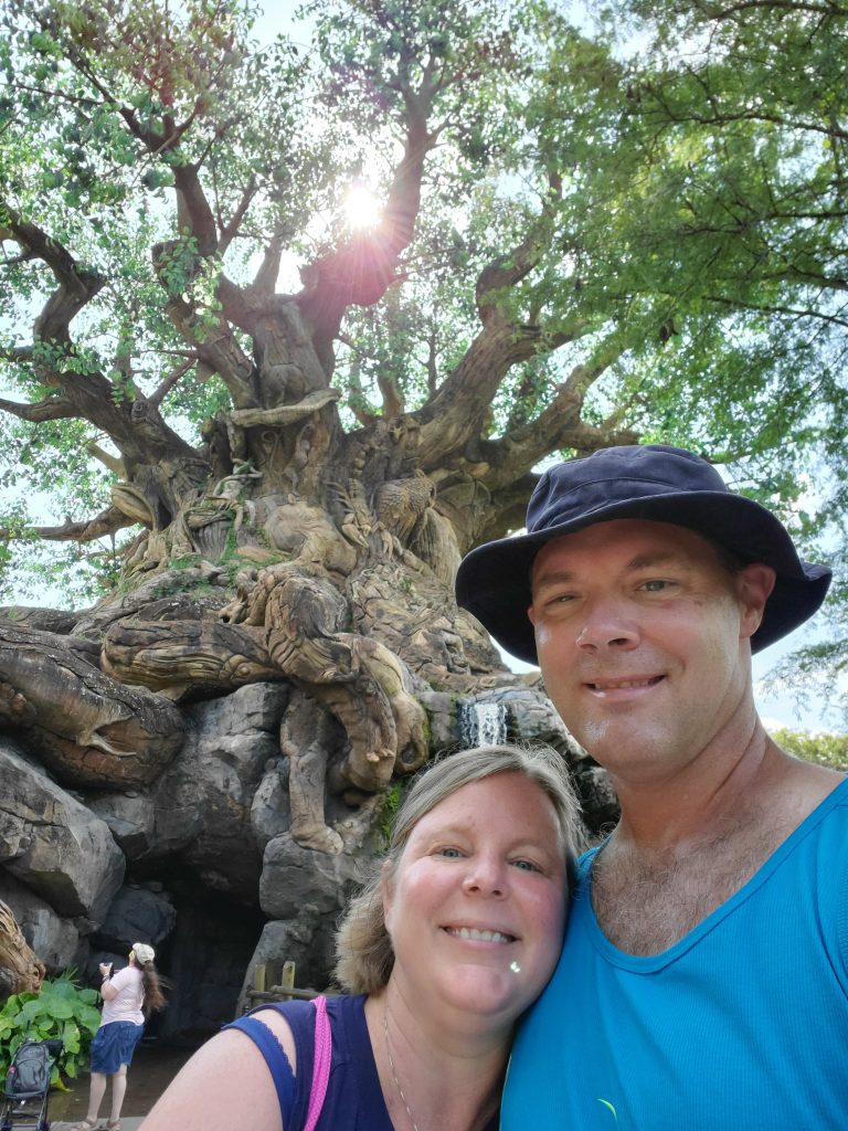 Disney's Animal Kingdom tree of life