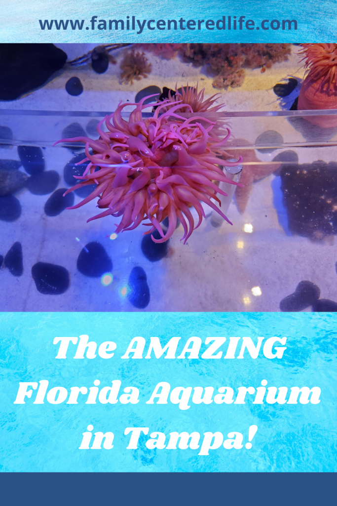 The Florida Aquarium in Tampa, Florida