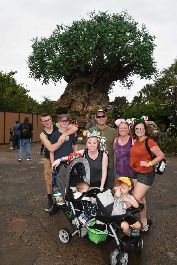 Disney's Animal Kingdom tree of life