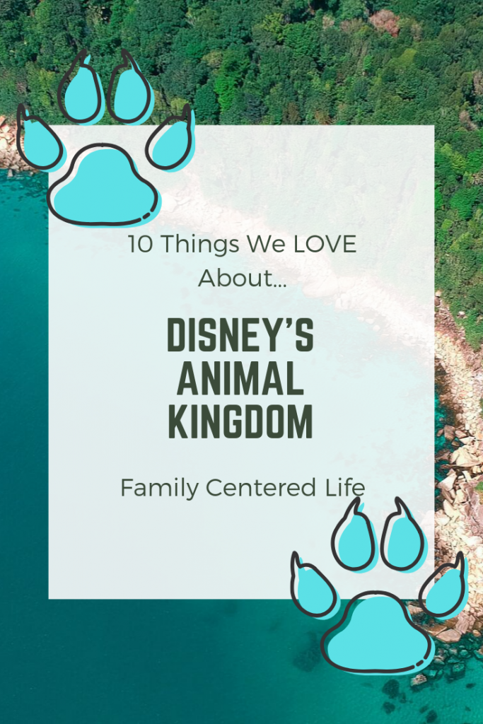 top 10 things at Animal Kingdom