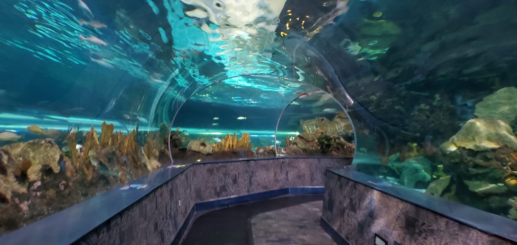 Amazing aquariums in the United States