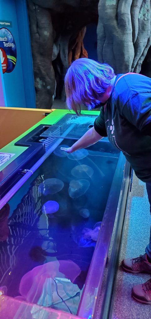 Ripley's aquarium of the smokies
