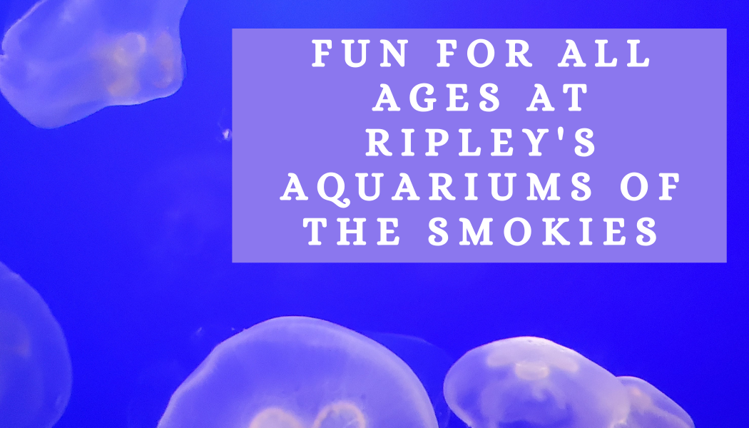 what is there to see at Ripley's Aquarium of the Smokies