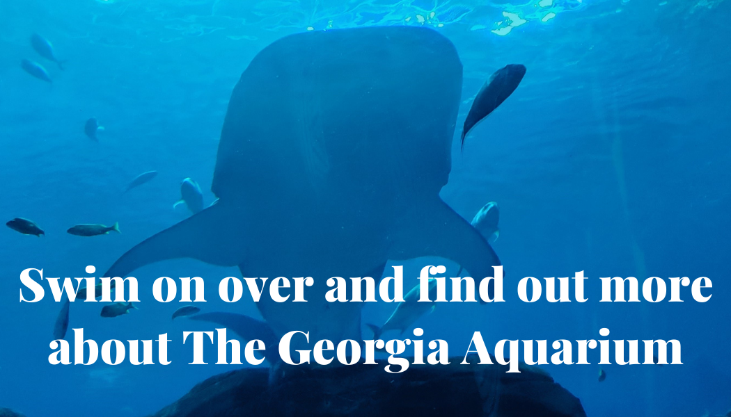 why visit the Georgia Aquarium