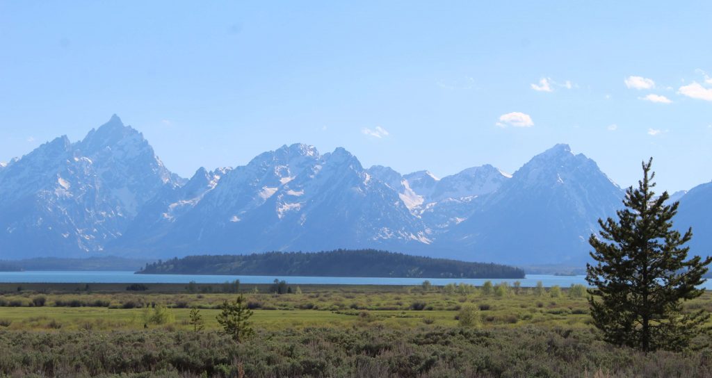 The Best Stops in Yellowstone National Park