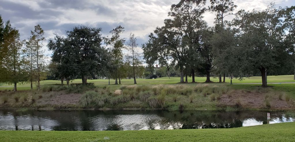 golf course at Saratoga Springs resort