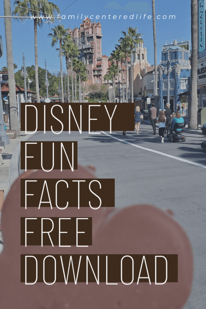 Disney World Fun Facts