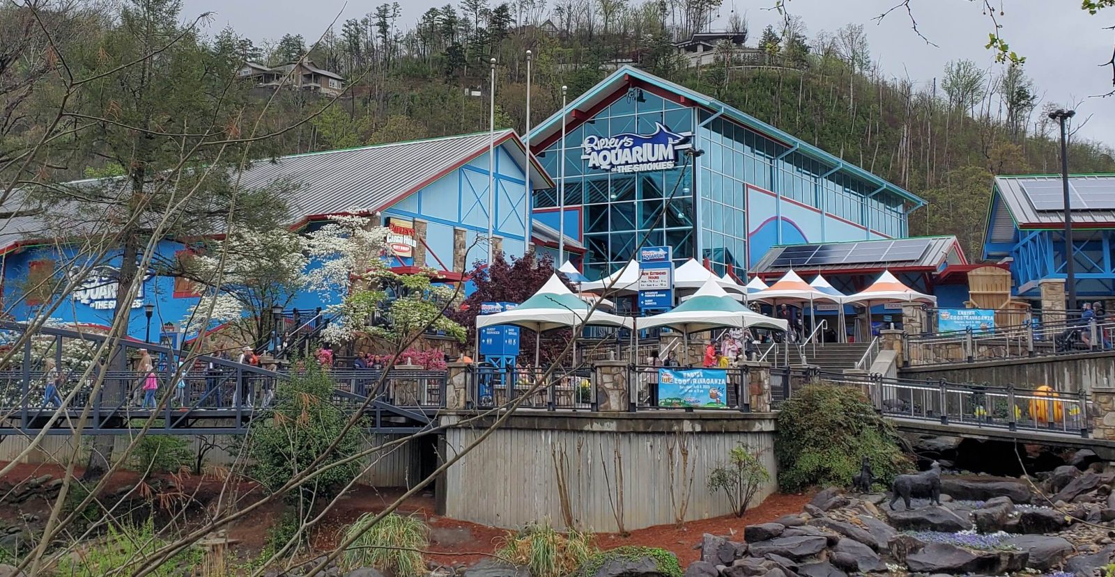 what is there to do at the Gatlinburg Aquarium?
